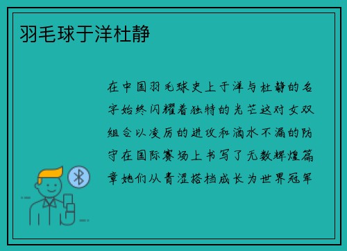 羽毛球于洋杜静