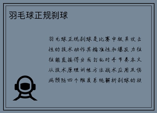 羽毛球正规刹球