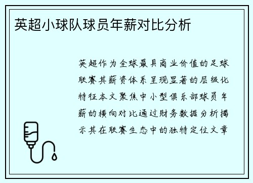 英超小球队球员年薪对比分析